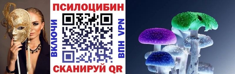 Галлюциногенные грибы Cubensis  Купить  Мценск 